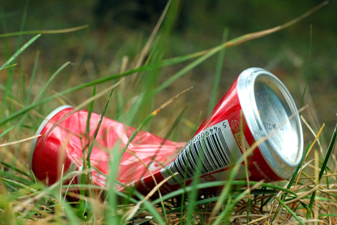 The Environmental Impact of Pet Waste